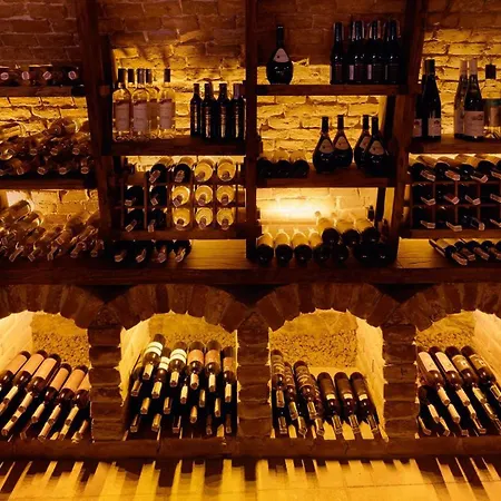 酒店 瑞士酒店